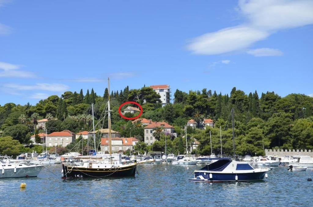 Peaceful House In Dubrovnik Apartment ภายนอก รูปภาพ