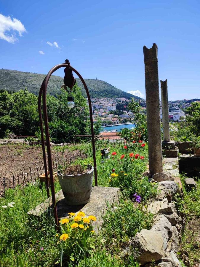 Peaceful House In Dubrovnik Apartment ภายนอก รูปภาพ